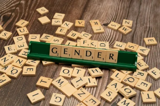 Understanding Gender Transformative Approaches